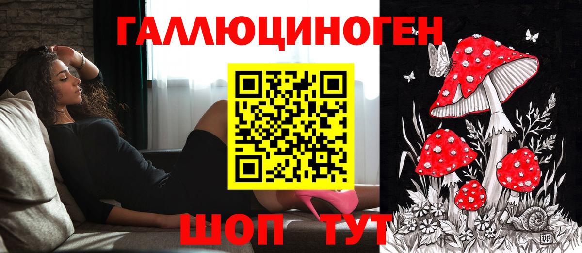 Узловая  Галлюциногенные грибы прущие грибы  Вход с VPN  Псилоцибиновые грибы Cubensis 